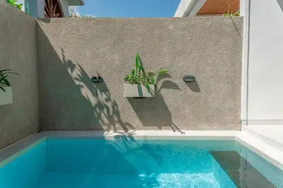 a shadow of a plant on a wall next to a swimming pool at Comoda Seminyak in Seminyak