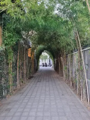 an archway with trees on the side of a road at The Sania's in Seminyak