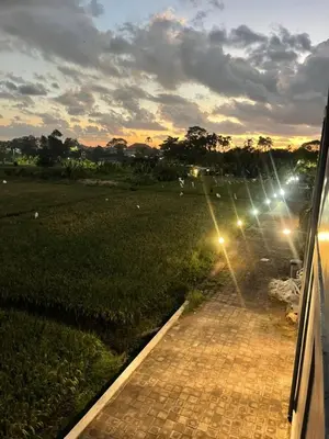 a view from a window of a field with lights at Studio with rice field view in Kerobokan in Kerobokan
