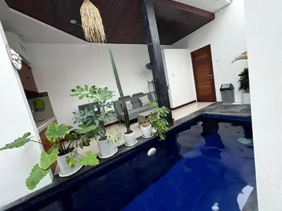 a house with a pool with potted plants on it at CWB Villa in Kerobokan