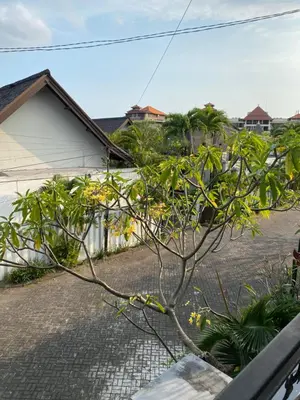 a small tree in front of a house at Karna Guest House in Seminyak
