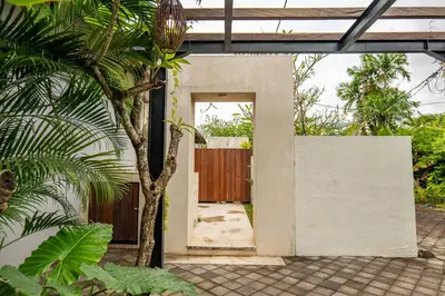 an open door to a house with a palm tree at tuluscolivingseminyakvilla2 in Seminyak
