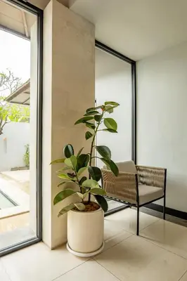 a plant in a pot sitting next to a chair at tuluscolivingseminyakvilla3 in Seminyak