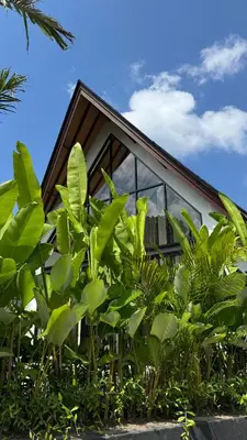 a house with green plants in front of it at New Tranquil Jungle View Villa in Kerobokan in Kerobokan