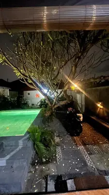 a tree sitting next to a pool at night at 2 Bedrooms Private Pool Villa Indi K Kerobokan in Seminyak