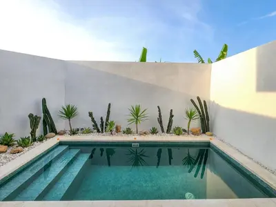 a swimming pool in a backyard with cactus at Villa Sorano Seminyak by Nagisa Bali in Seminyak