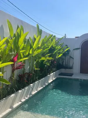 a swimming pool with plants on the side of a building at Villa Jiji cozy chic in Bali - just renovated ! in Canggu