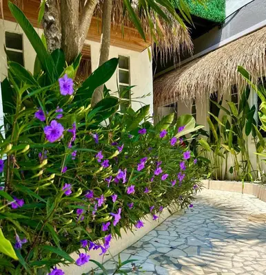a garden with purple flowers next to a building at Villa Vela 2 BR - Vela 3 with Private Pool & Rooftop in Seminyak