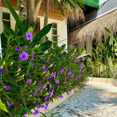 Villa Vela 2 BR - Vela 3 with Private Pool & Rooftop
