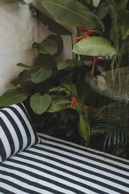 a black and white pillow sitting on a bench with plants at Suom Apartments and Villas Canggu in Canggu
