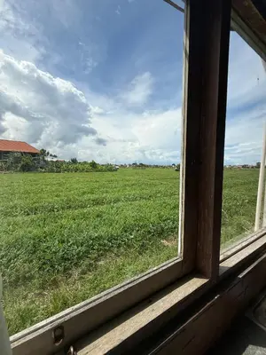 a window looking out at a field of grass at Balian Retreat Centre Homestay in Sanur