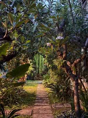 a path through a garden with trees and flowers at The Secreet Garden Hotel in Denpasar