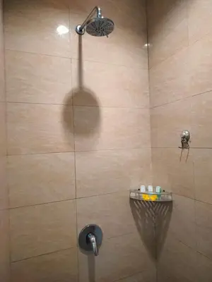 a shower with a shower head in a bathroom at Villa Toya in Legian