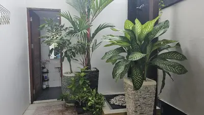 a group of potted plants in a hallway at Villa Toya in Legian