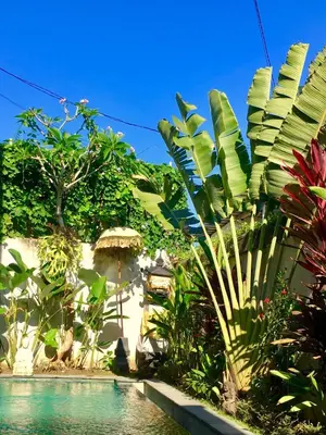 a swimming pool in front of a house with plants at Villa Aurikari in Legian