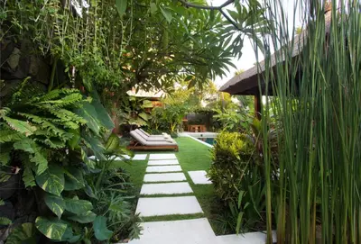a garden with a pool and some plants at Villa Suar Drupadi in Seminyak