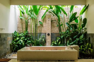 a bath tub in a room with plants at Aria Exclusive Villas & SPA in Seminyak