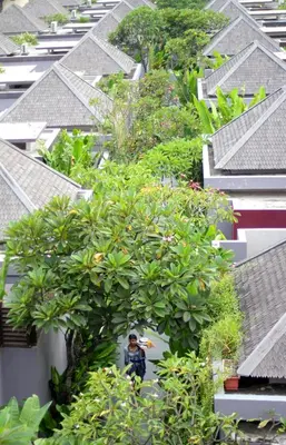 a man standing under a large tree on a building at Aria Exclusive Villas & SPA in Seminyak