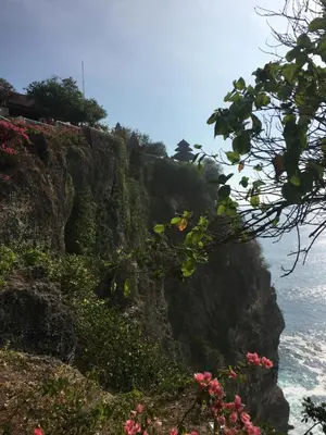 a view of a cliff with flowers and the ocean at Nadialit in Seminyak