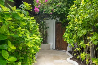 an entrance to a garden with plants and flowers at Ocean Star 5 in Seminyak