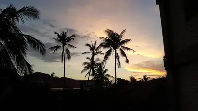 a group of palm trees in front of a sunset at Private Apartments at Jayakarta Resort in Legian