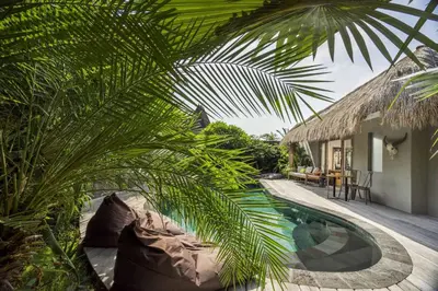 a swimming pool with a palm tree next to a house at Villa Sham in Seminyak