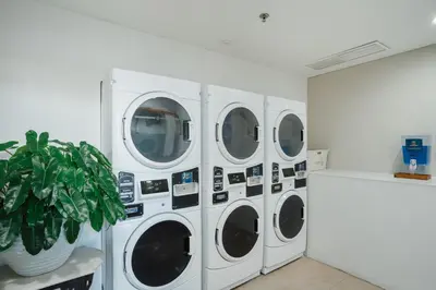 four washing machines in a room with a potted plant at Rama Residence Padma in Legian