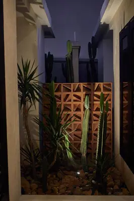 a group of cactus in a room with a wall at Ahimsa Beach in Jimbaran
