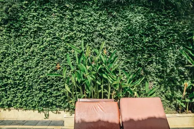 a pair of chairs in front of a green hedge at The Lagoon Bali Pool Hotel and Suites in Legian
