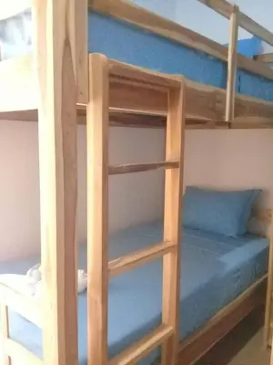 a wooden bunk bed with a ladder in a room at Turtle Island Homestay in Sanur