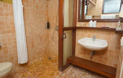 a bathroom with a sink and a toilet and a mirror at Pondok Agung Bed & Breakfast in Nusa Dua