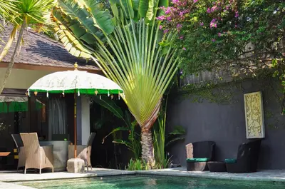 a pool with a palm tree and chairs and an umbrella at Chimera Villas in Seminyak