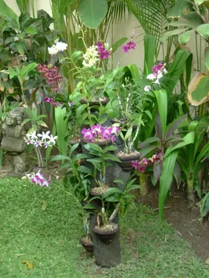 a group of plants with purple and white flowers at Villa Sipo in Seminyak