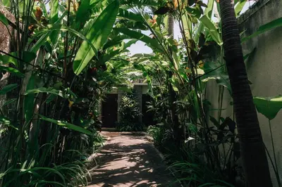a path through a garden with tall plants at Charming Private Villa with Pool in Canggu