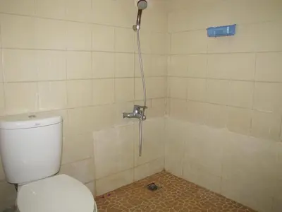 a bathroom with a toilet and a shower at Diva House in Denpasar