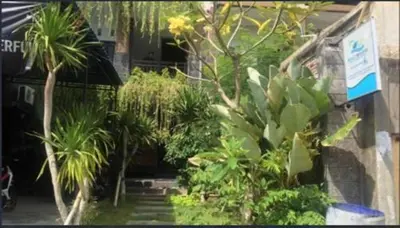 a bunch of plants in front of a building at Micost Homestay in Denpasar