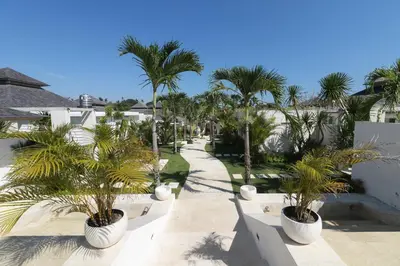 a walkway with palm trees in large white pots at The Plantation at Batu Belig in Canggu