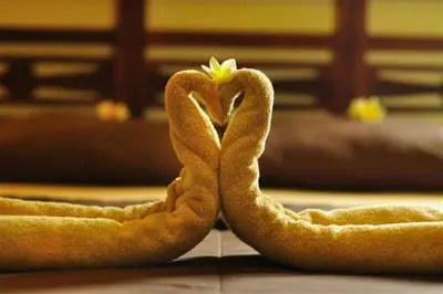a couple of snakes laying on the floor at Sari Stay in Jimbaran