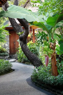 a tree with a bunch of plants in a garden at AlamKulkul Boutique Resort in Kuta