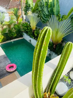 a swimming pool with a cactus and a pink frisbee at VILLA DUNA Seminyak Bali in Seminyak