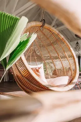 a hammock hanging from a ceiling with a green plant at La Payesa in Canggu