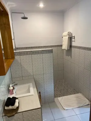 a bathroom with a sink and a shower at Villa Pintu Biru in Seminyak
