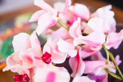 a bunch of pink flowers in a vase at Villa Chikka in Seminyak