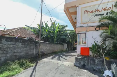 a white cat sitting outside of a building at Permisol Homestay 88 in Denpasar