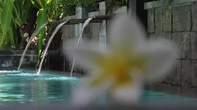 a flower in front of a water fountain at hu'u Villas in Seminyak
