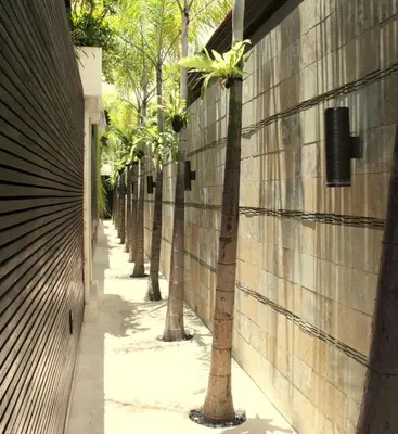 a row of palm trees on the side of a building at Sandi Kala Villas in Kerobokan