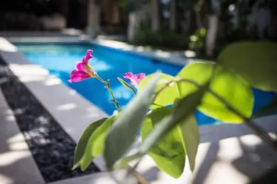 a pink flower sitting next to a swimming pool at Villa Alu Lima in Seminyak
