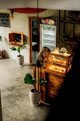 a shop with a display case and a potted plant at Endless Summer Surf Camp Kuta in Kuta
