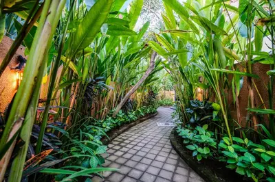 a garden with many plants and a walkway at Papillon Umalas Villas in Canggu