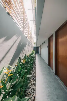 a corridor of an office building with plants at Bestah Coliving in Sanur